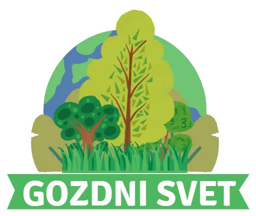 Gozdni svet