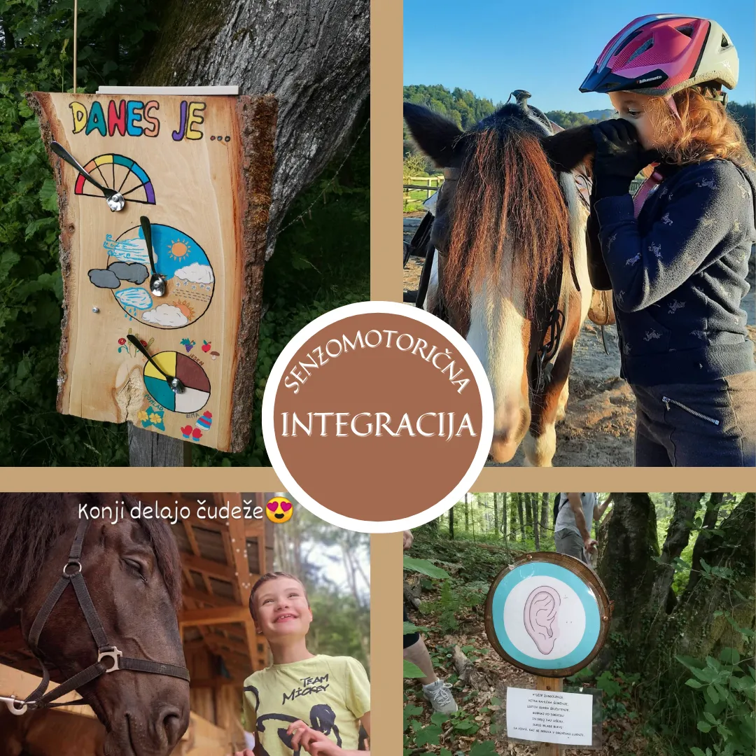 Slika za Pedagoško in terapevtsko konjeništvo