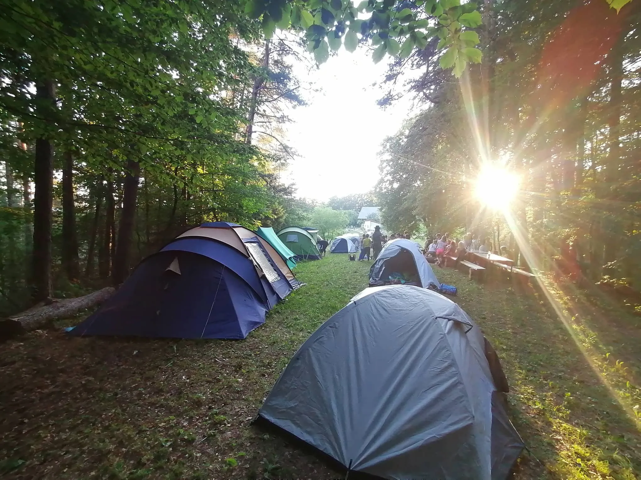 Slika za ROBINZONSKA NOČ