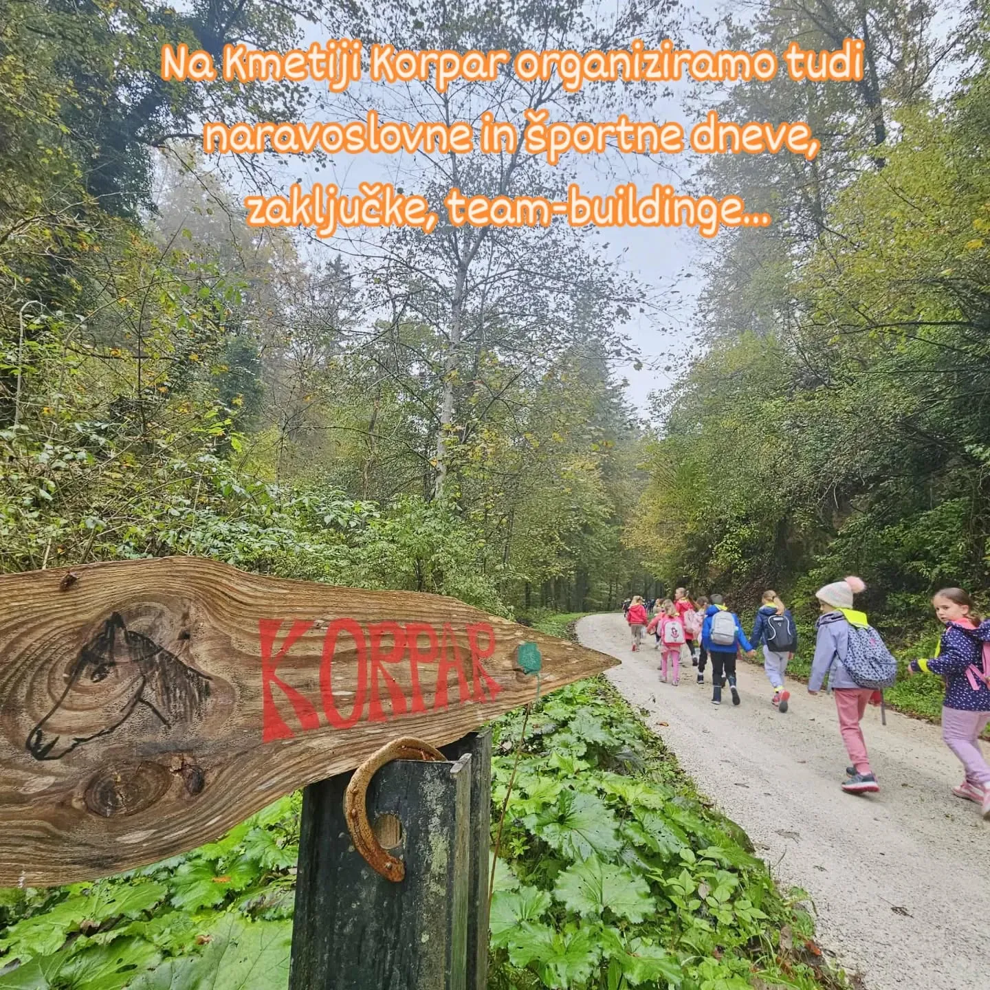 Slika za UČILNICA POD KROŠNJAMI