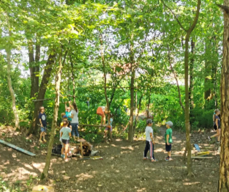 Slika za PUSTOLOVSKI ROJSTNI DAN