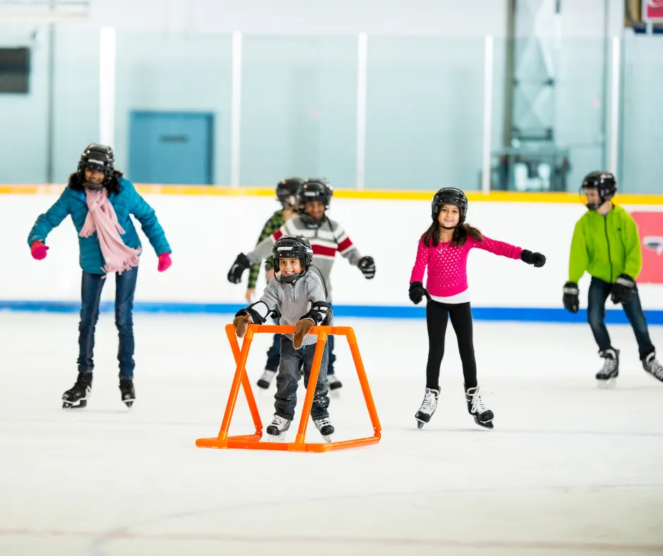 Slika za ZIMSKI ROJSTNI DAN NA LEDU = DRSANJE