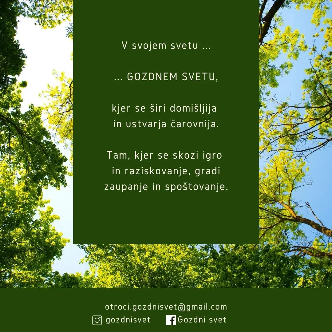 Slika za Gozdni vrtec & Šolanje v gozdu