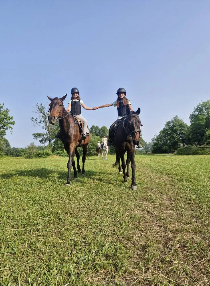 Slika za Šola jahanja