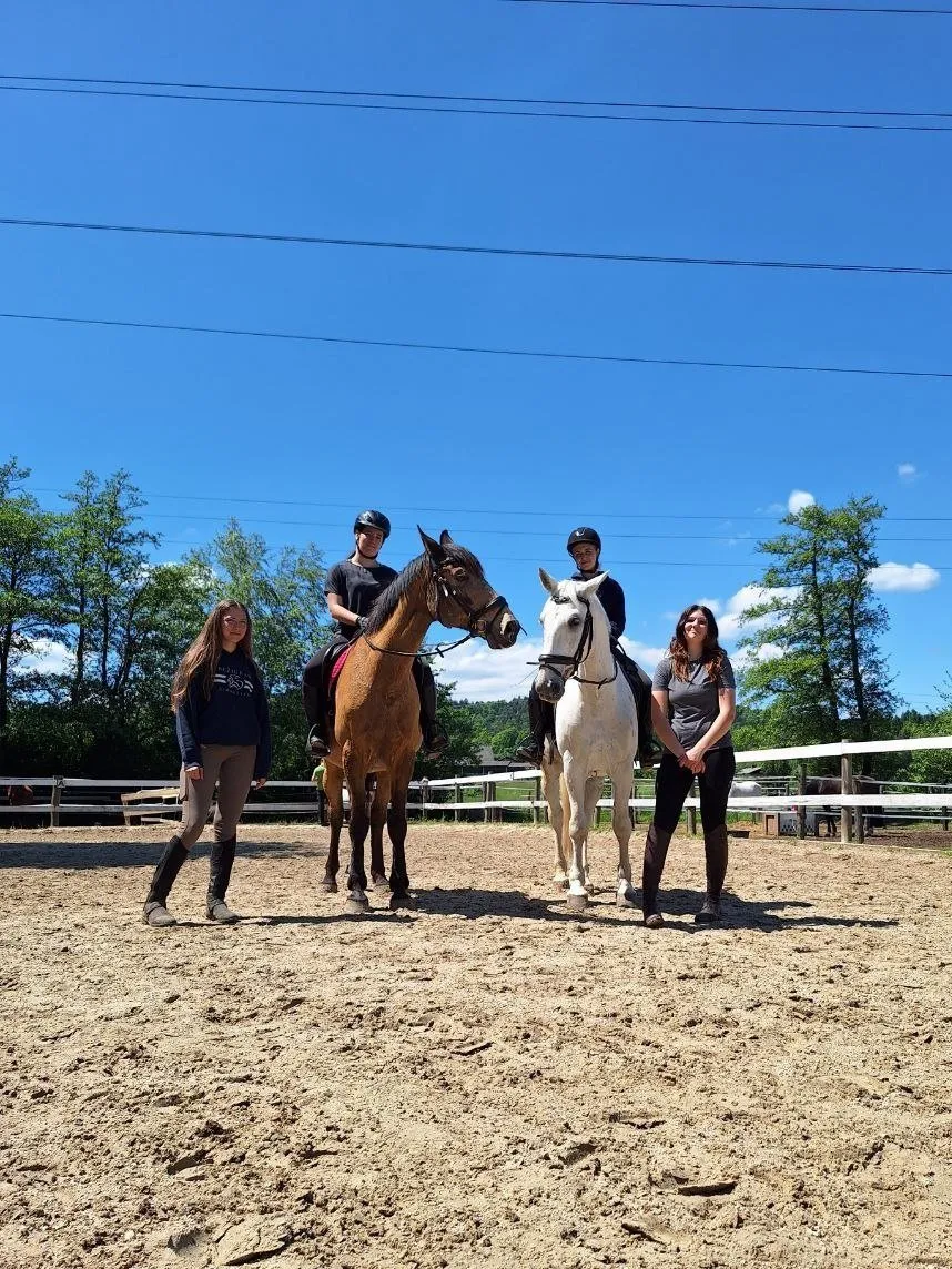 Slika za Šola jahanja za otroke ~ individualno in skupinsko jahanje