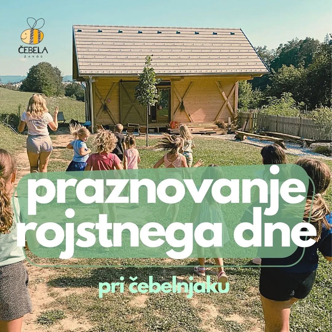 Slika za Čebelin rojstni dan