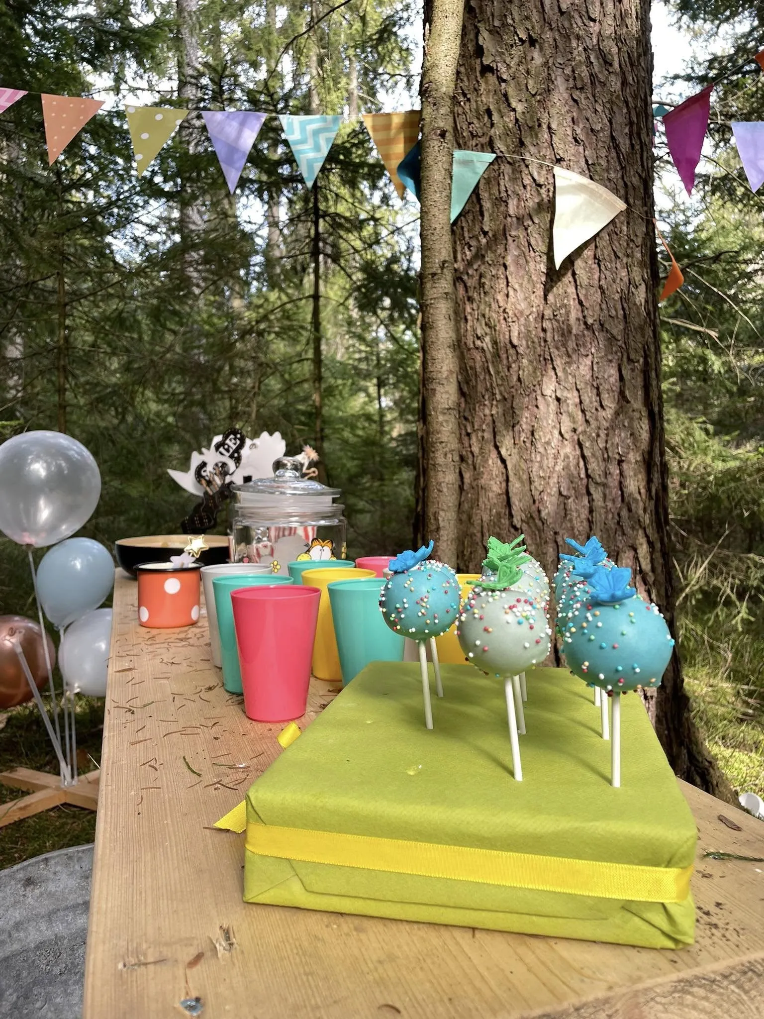 Slika za Gozdna rojstnodnevna zabava