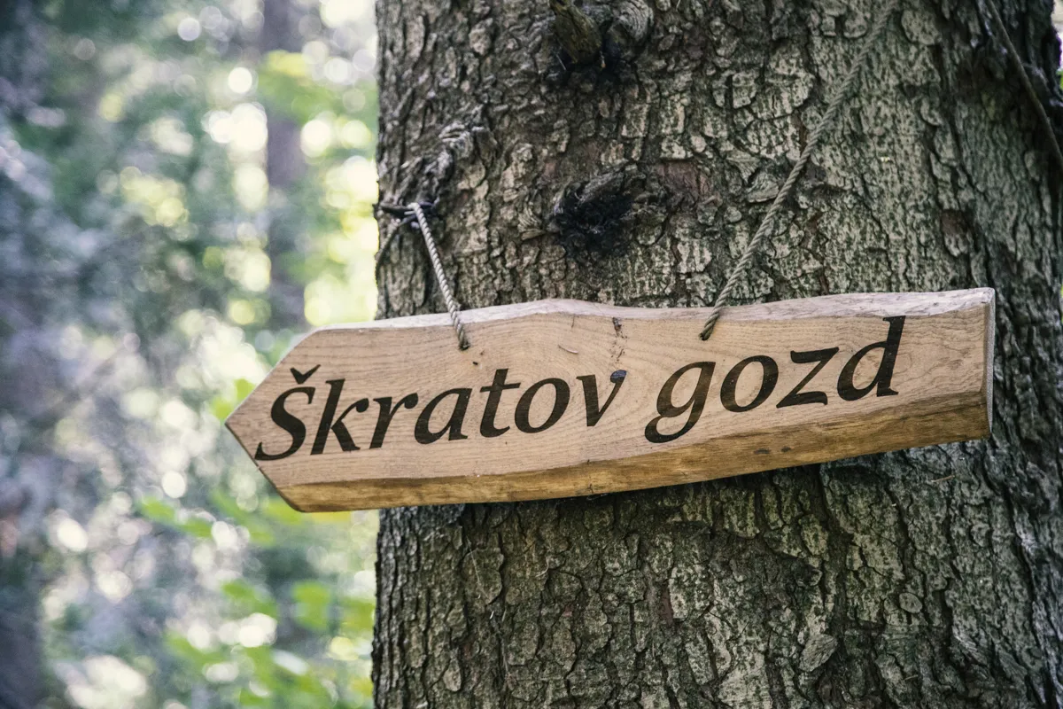 Slika za Pravljična pot ~ Pot močvirskih škratov na Mali plac