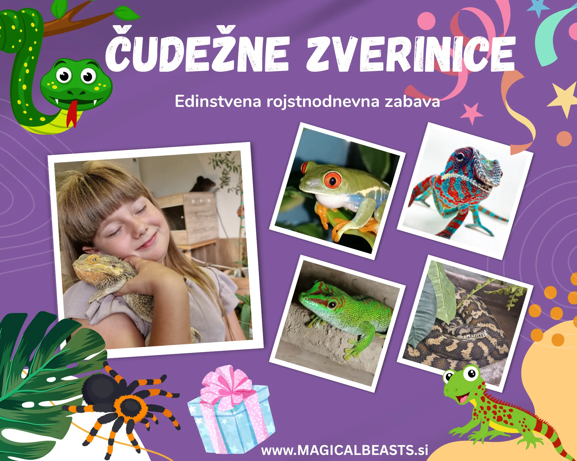 Slika za Rojstnodnevna zabava z eksotičnimi živalmi