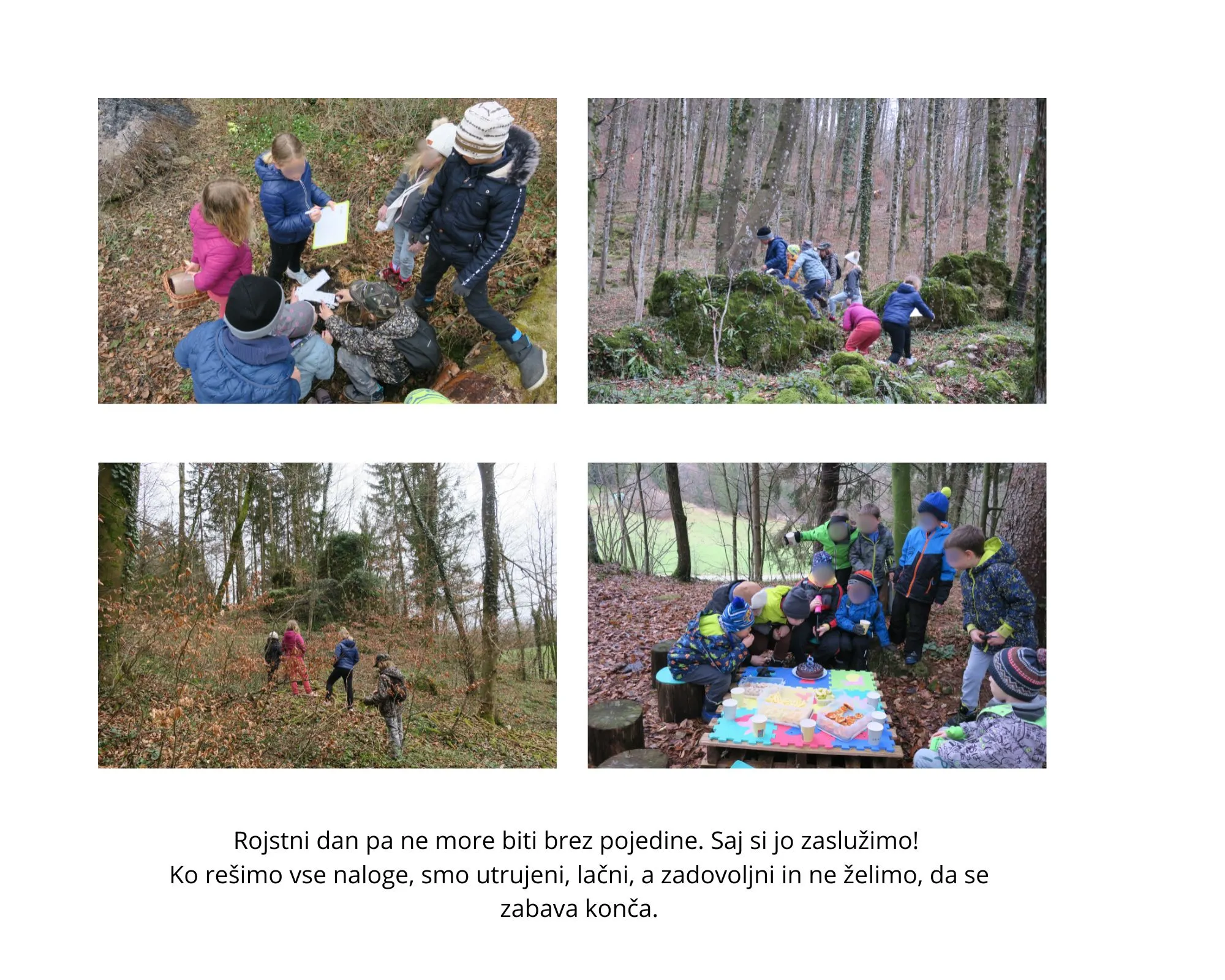 Slika za UNIKATNI ROJSTNI DAN V GOZDU