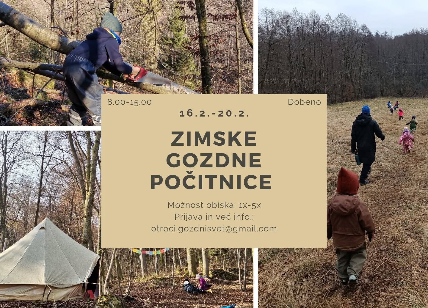 Slika za ZIMSKE GOZDNE POČITNICE