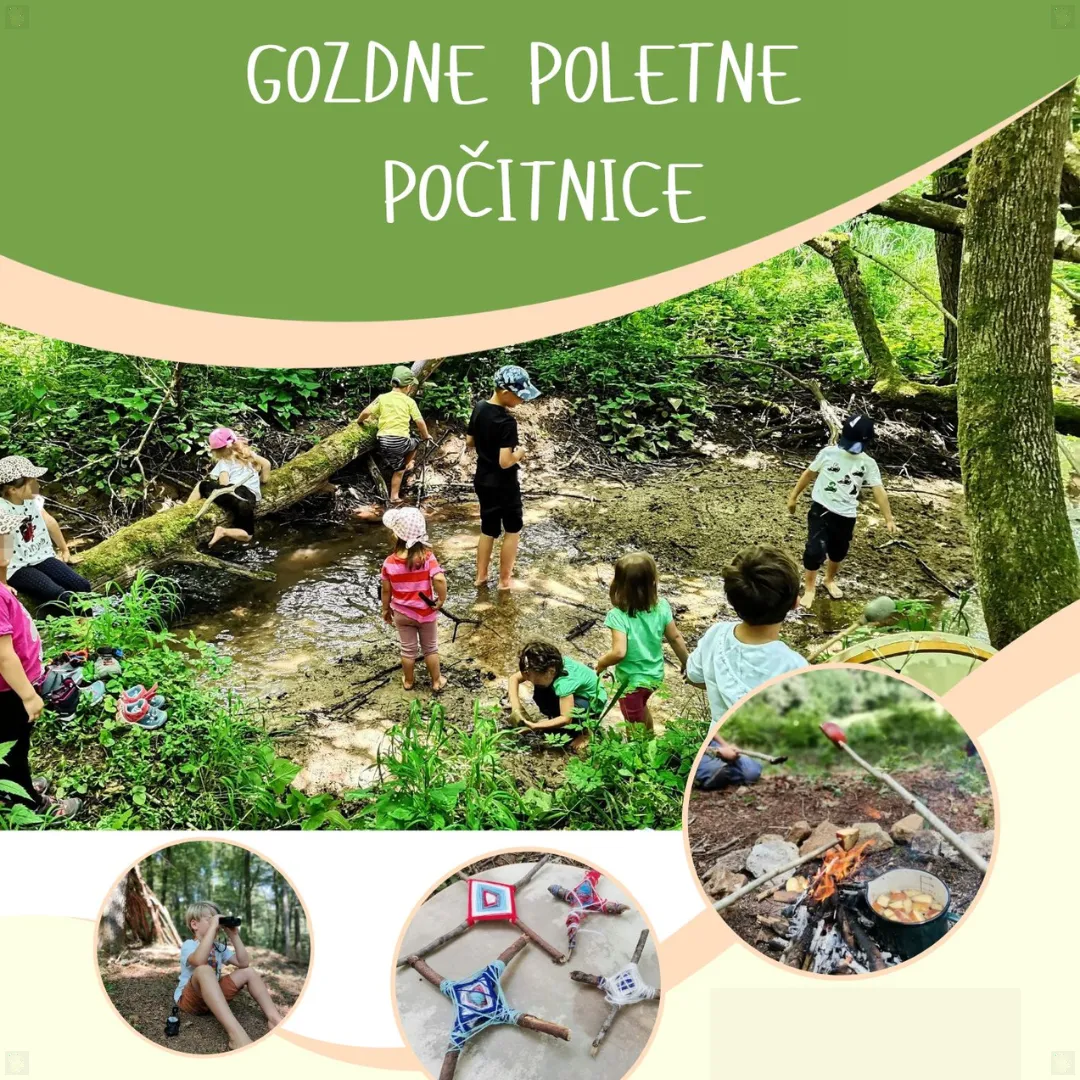 Slika za POLETNE GOZDNE POČITNICE