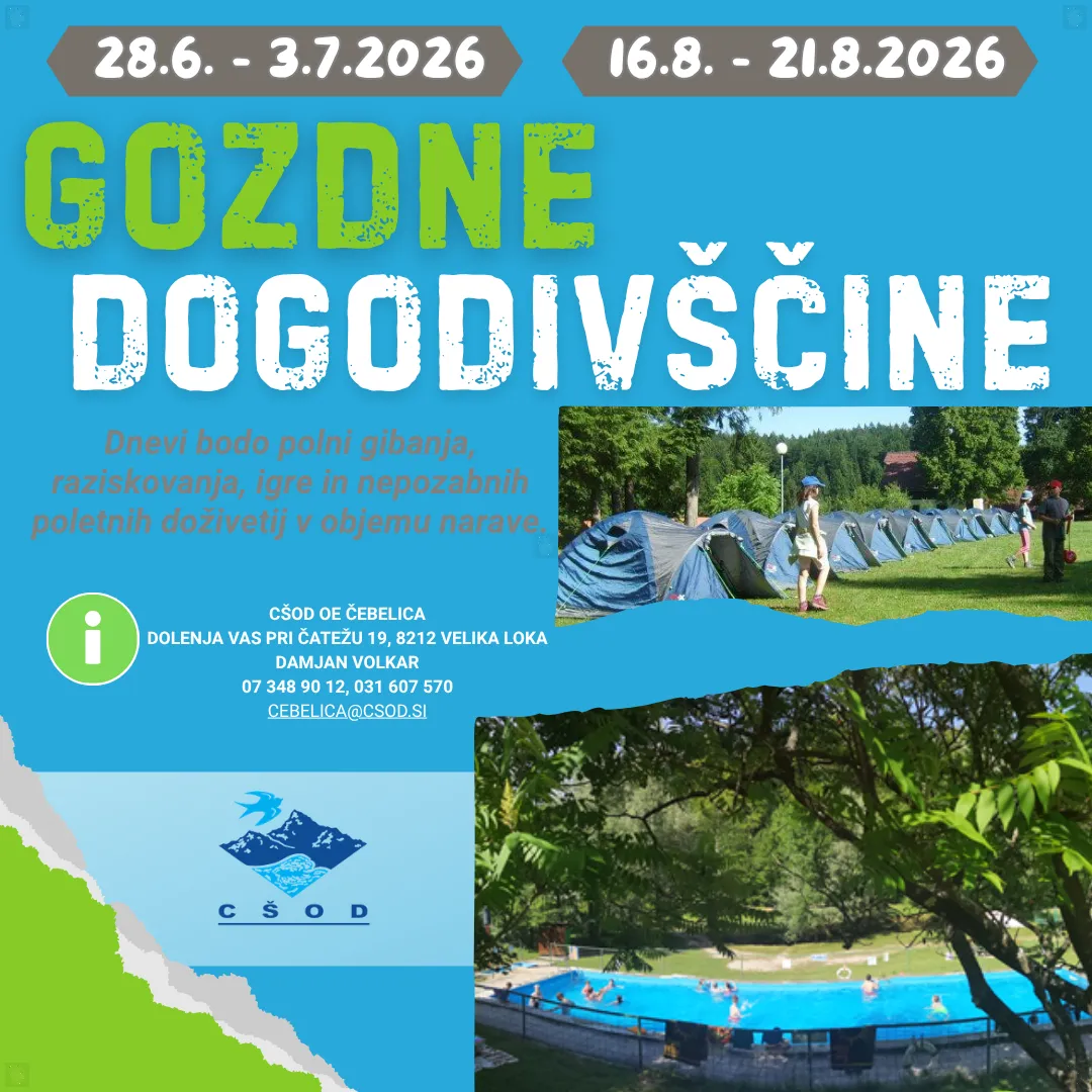 Slika za Gozdne dogodivščine