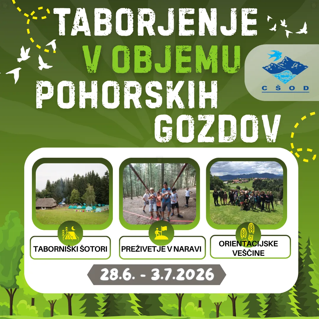 Slika za Taborjenje v objemu pohorskih gozdov